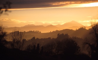 AMANECE DE NUEVO