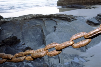 LA LIBERTAD DEL GRAJO